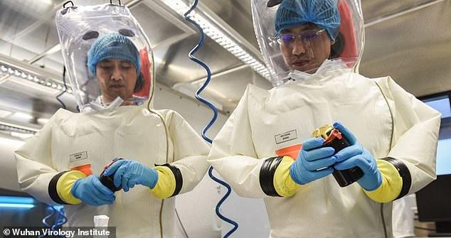 "Like It Was Designed To Infect Humans": COVID-19 'Cell
Culture' Theory Gains Steam 1