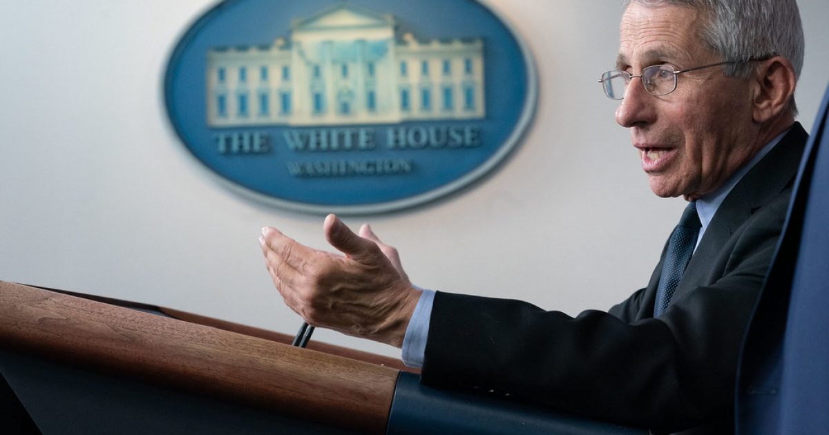Dr. Fauci Denies Culpability Following Revelation That His
Agency Funded Coronavirus Bat Studies at Wuhan Institute 1