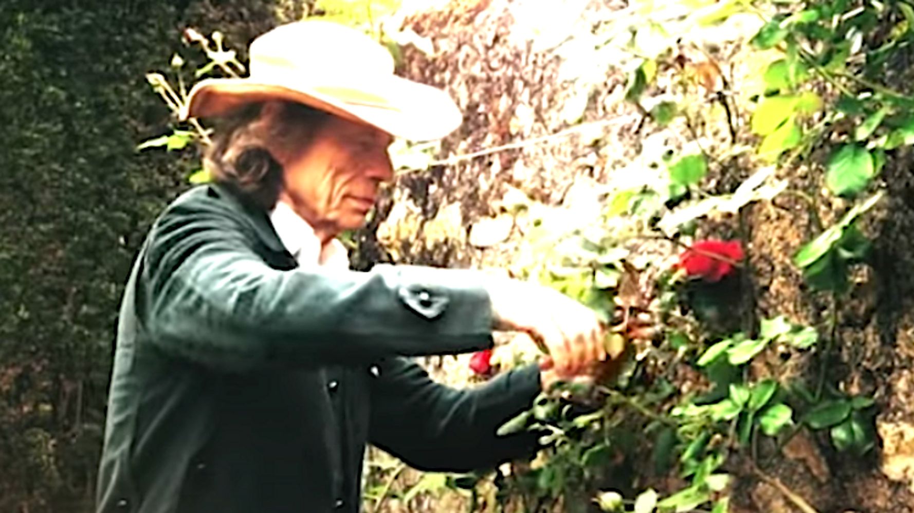 Mick Jagger Doing Quarantine Chores Is Must-Watch
Inspiration 1