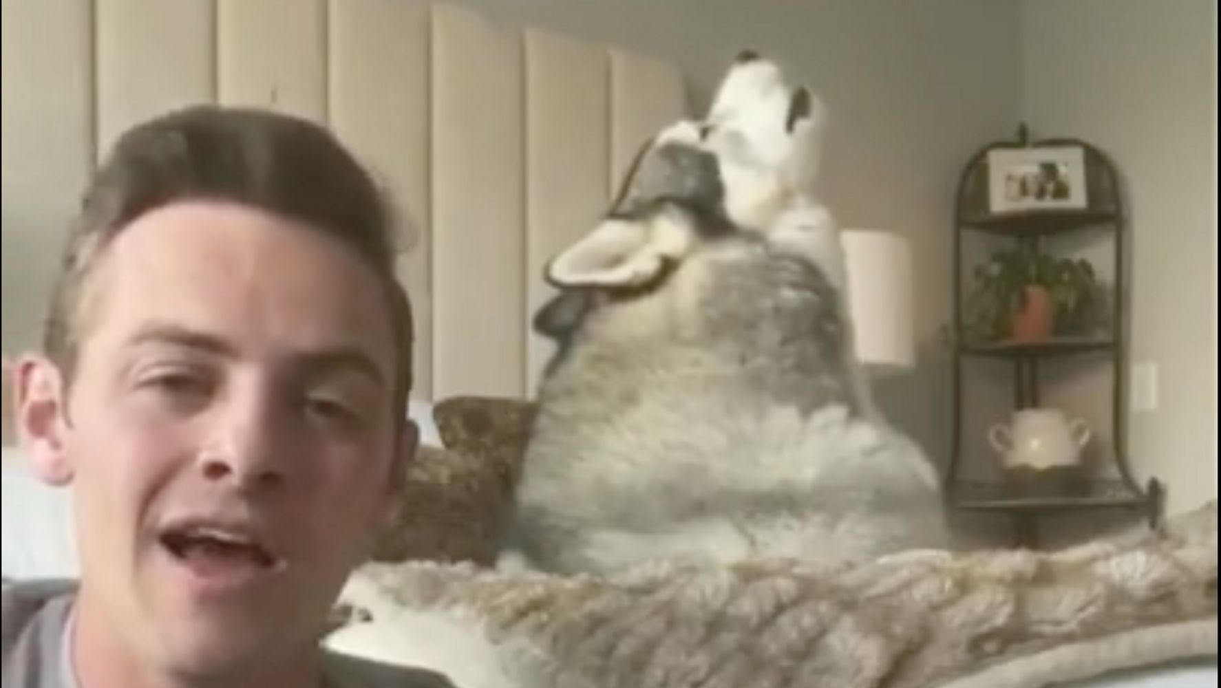 Man Duets With ‘Singing’ Husky To Spread Love During
COVID-19 Crisis 1