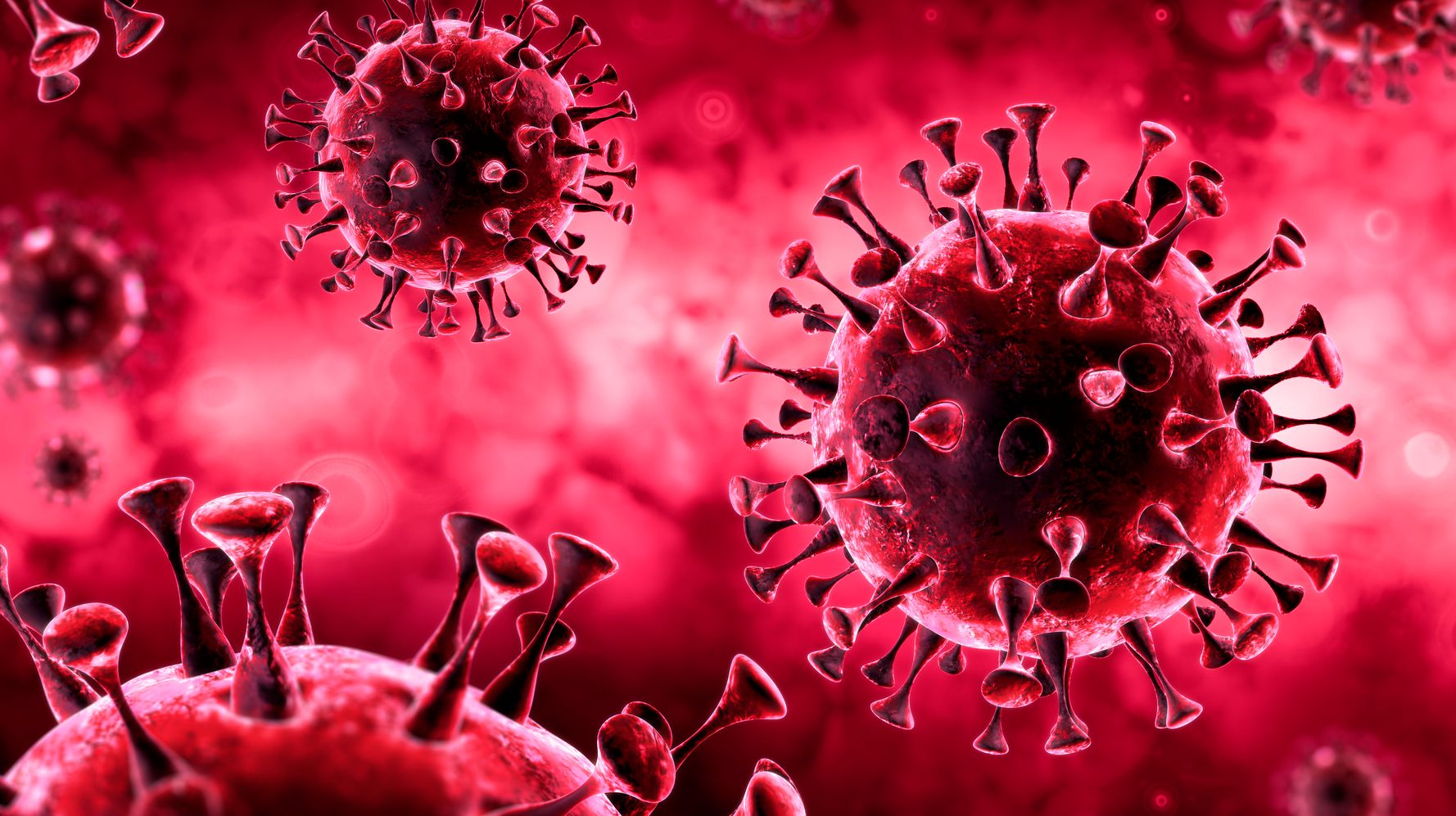 CDC Issues Alarming Triple-Fatality Report On COVID-19 Cases
At Arkansas Church 1