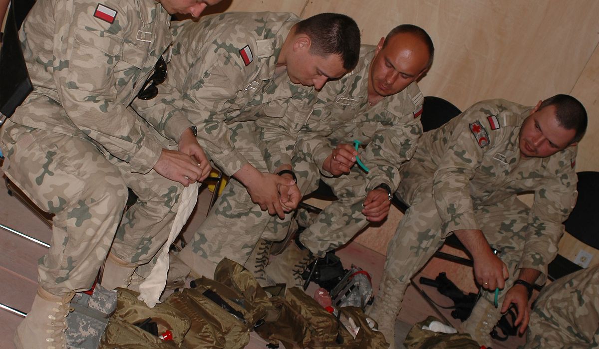 Romanian, Polish military medical teams help U.S. with
coronavirus 1