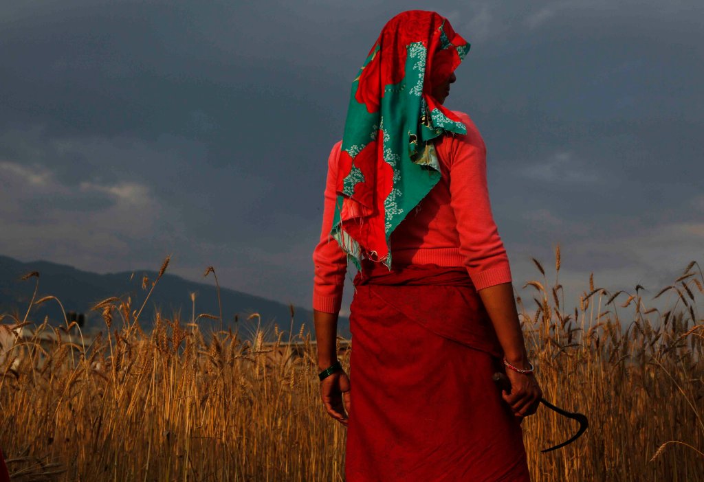 Photos: Somewhat normal scenes from the coronavirus
pandemic 1