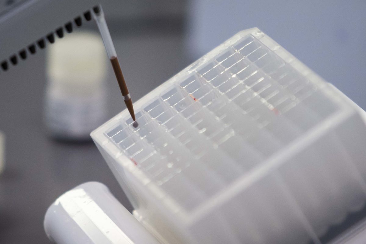 Chicago moves to create 600-strong army of contact tracers
to fight coronavirus 1