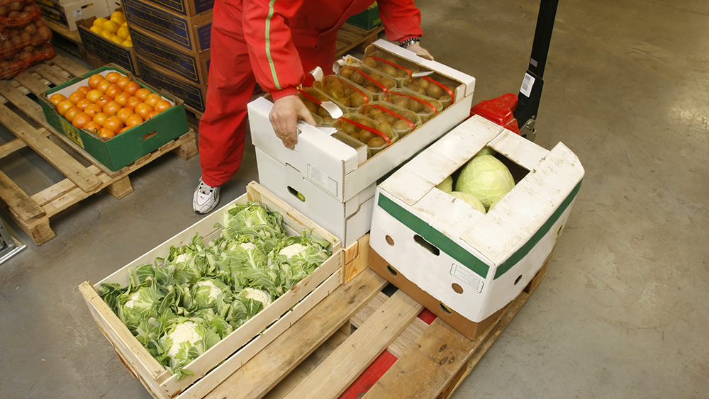 Coronavirus pandemic and "rigid" food system forces farmers
to waste crops 1