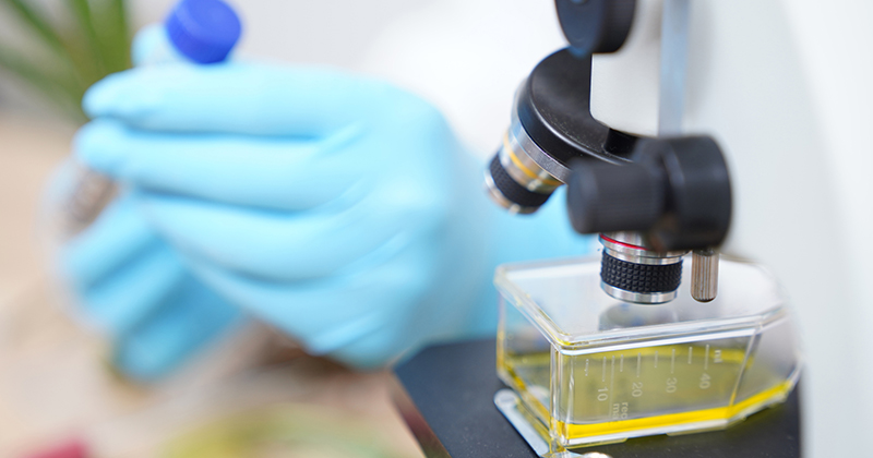Experts Suggest £90 Million Oxford University Coronavirus
Vaccine Doesn’t Work 1