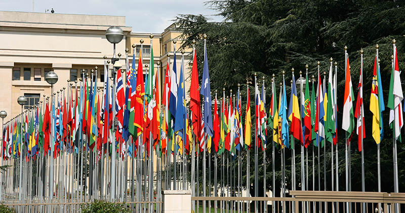 62 Countries Collectively Call For Investigation Into
Coronavirus Origin, W.H.O. 1