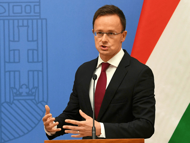 Hungary Accuses Nordic Nations of Spreading 'False News'
About Coronavirus Lockdown 1