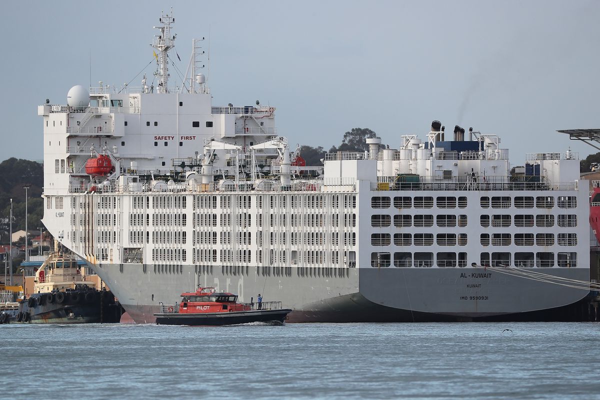 Coronavirus cluster reported on cargo ship docked in
Australia, local officials say they were never told 1 Coronavirus cluster reported on cargo ship docked in
Australia, local officials say they were never told 1