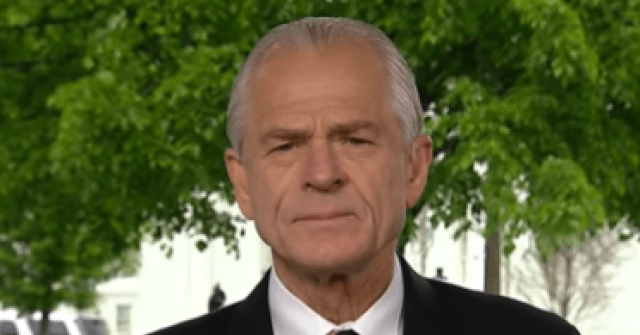 WH's Navarro: Trump's Coronavirus Testing Rally Remarks
'Tongue-in-Cheek,' 'a Light Moment' 1