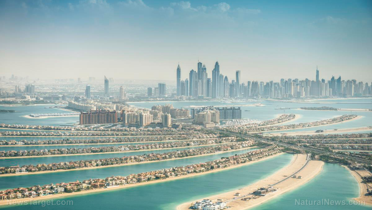 Dubai in crisis as the coronavirus pandemic halts global
trade 1