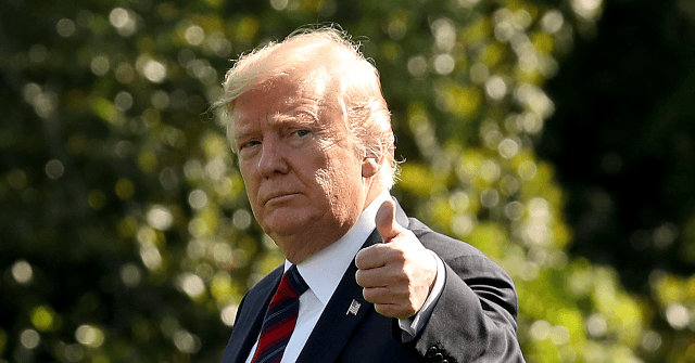 Watch: Donald Trump Releases 'American Comeback' Coronavirus
Campaign Ad 1