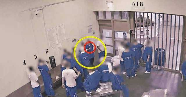 Watch: Inmates Infect Themselves with Coronavirus to Get
Freed from Jail 1