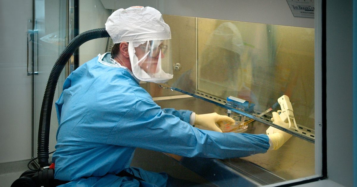 White House Asks CDC To Investigate Why Locked-Down LA Is
Seeing So Many New COVID-19 Cases 1