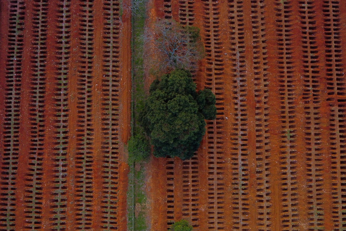 Sao Paulo digs mass graves as Brazil battles
coronavirus 1
