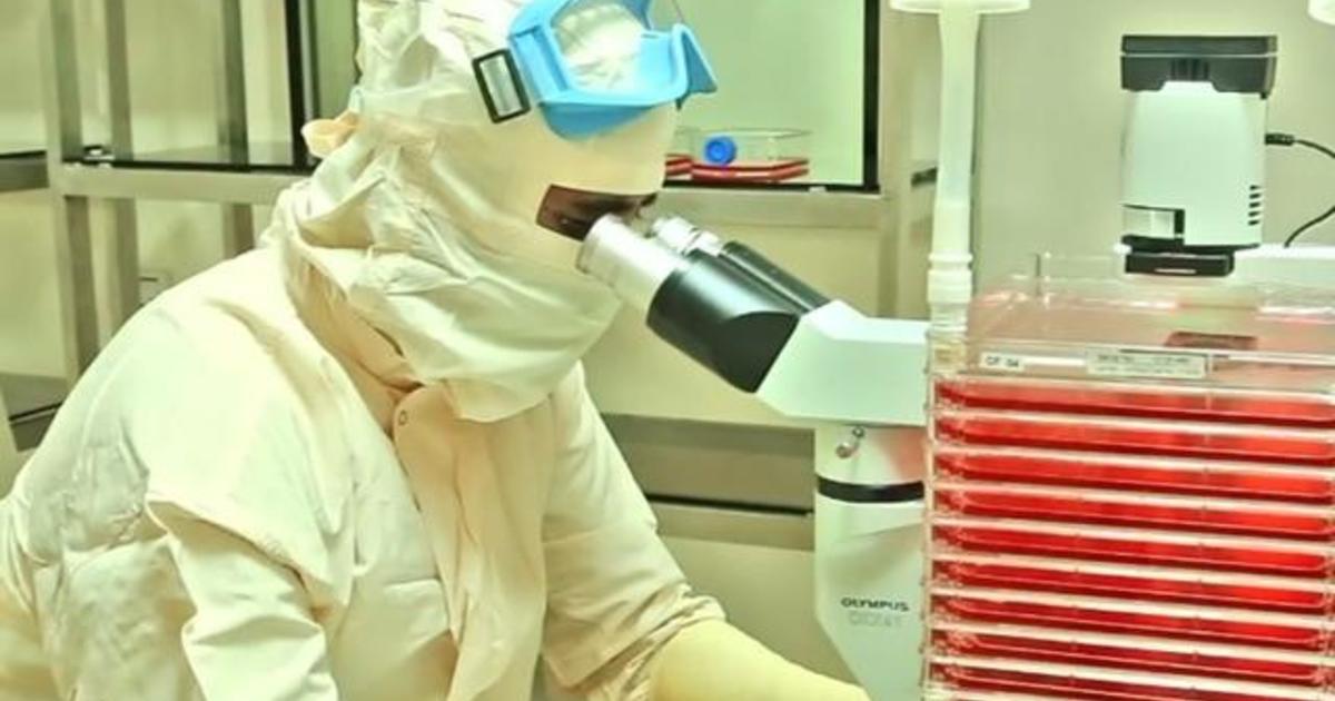 Race for coronavirus vaccines stokes a biotech stock
bubble 1