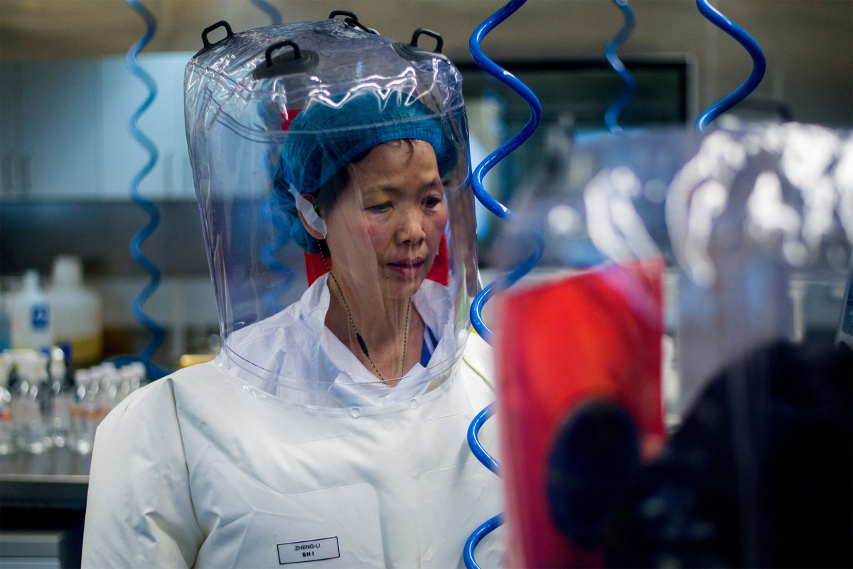 China’s ‘bat woman’ researcher warns coronavirus is just
‘tip of iceberg’ 1