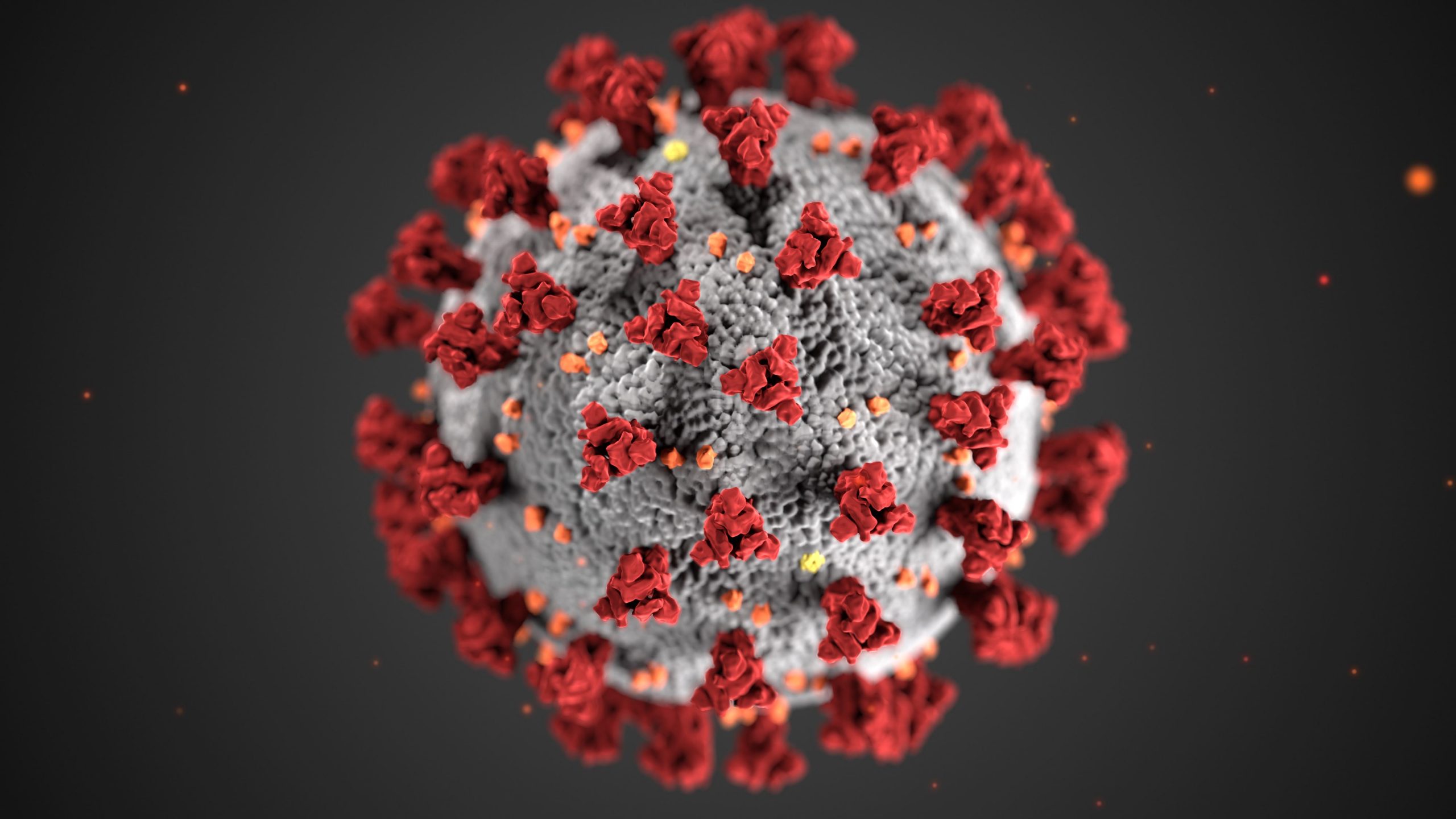 'Breakthrough' Found That Could 'Block Course' of COVID-19
Infection 1