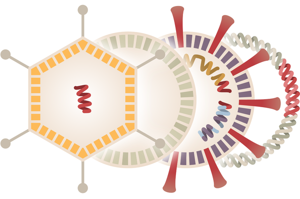 Coronavirus Vaccine Shows Promising Early Results in
China 1