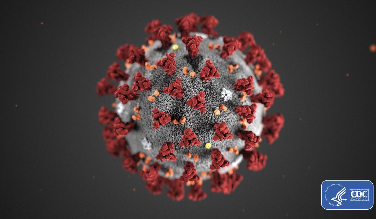 U.S. health experts, WHO differ over coronavirus
protocols 1