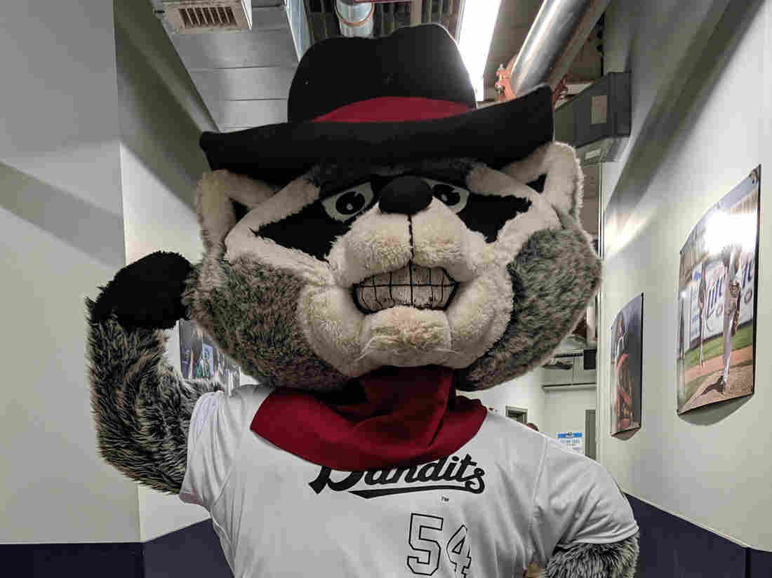 This Baseball Mascot Was Struck Out By The Coronavirus
Pandemic 1