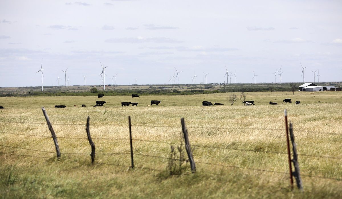 Texas counties may have fewer COVID-19 cases, but less
tests 1