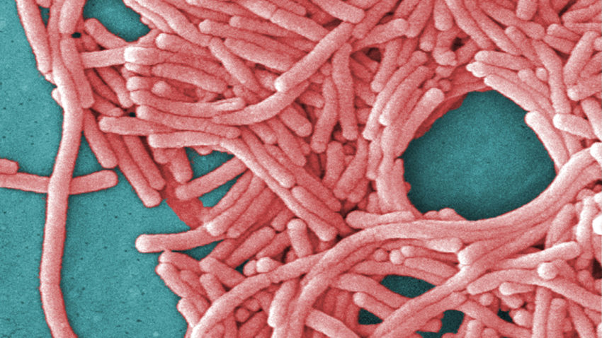 After coronavirus, office workers might face unexpected
health threats 1