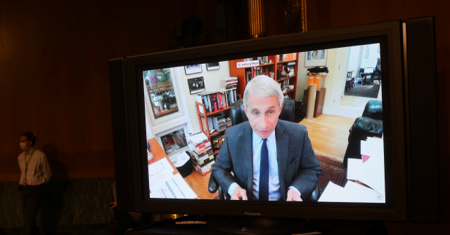 Dr. Anthony Fauci: U.S. Coronavirus Death Toll ‘Almost
Certainly Higher’ than Reported 1