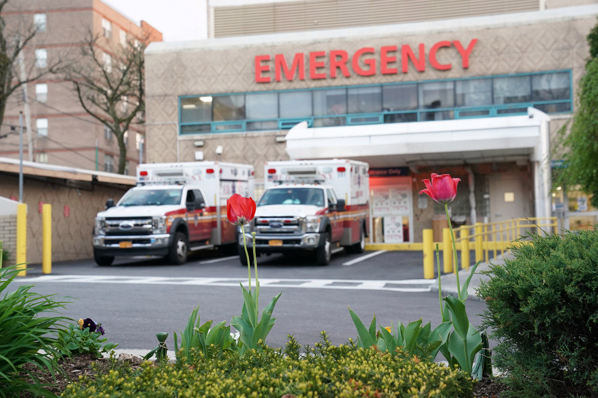 15 kids hospitalized in NYC with rare disease possibly
linked to coronavirus 1