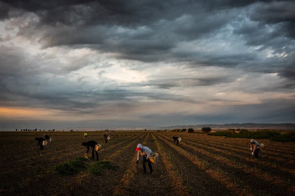 Legalize 'Essential' Coronavirus Workers 1
