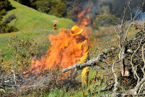 Coronavirus in California: Controlled Burns Could Cause
Respiratory Issues for Covid-19 Patients 1