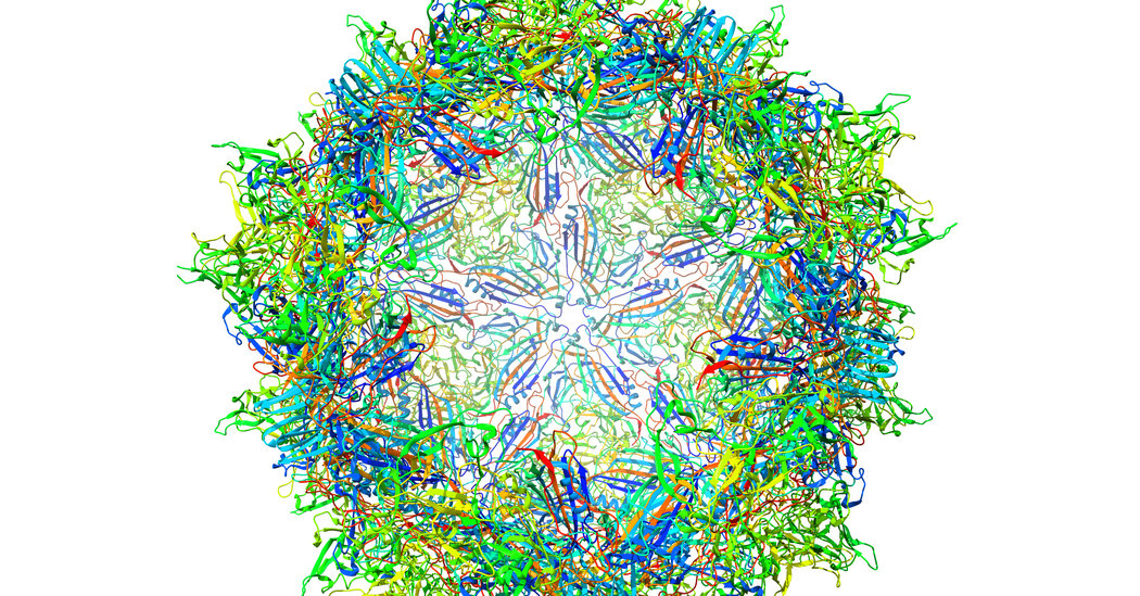 A Coronavirus Vaccine Project Takes a Page From Gene
Therapy 1