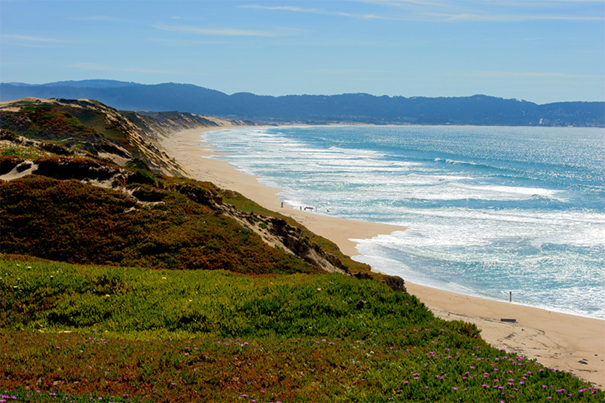 Coronavirus couldn’t close Northern California beach — but
deadly shark could 1 Coronavirus couldn’t close Northern California beach — but
deadly shark could 1