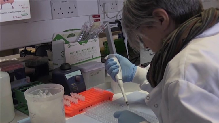 Countries pledge $8 billion for coronavirus vaccine, but
U.S. absent 1