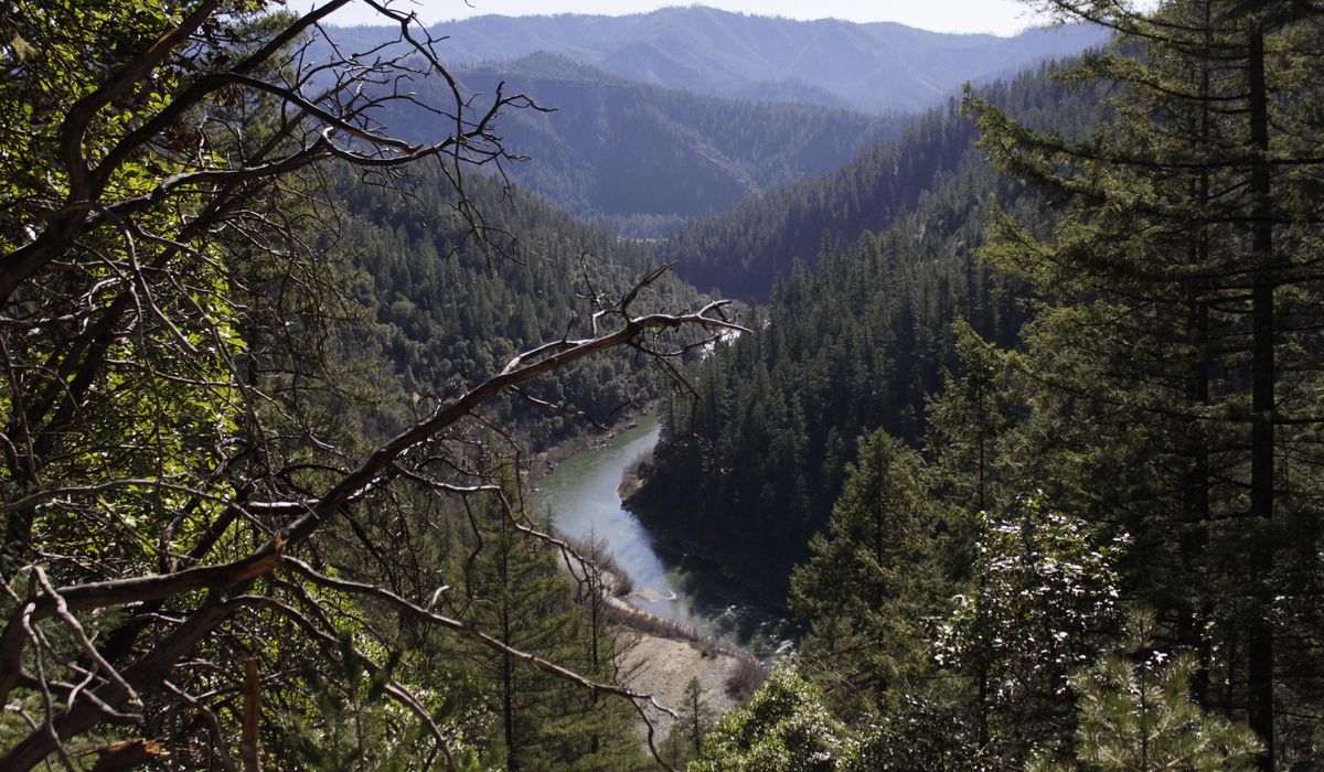 Humboldt County, California 'pumping the brakes' on
reopening as coronavirus cases rise 1