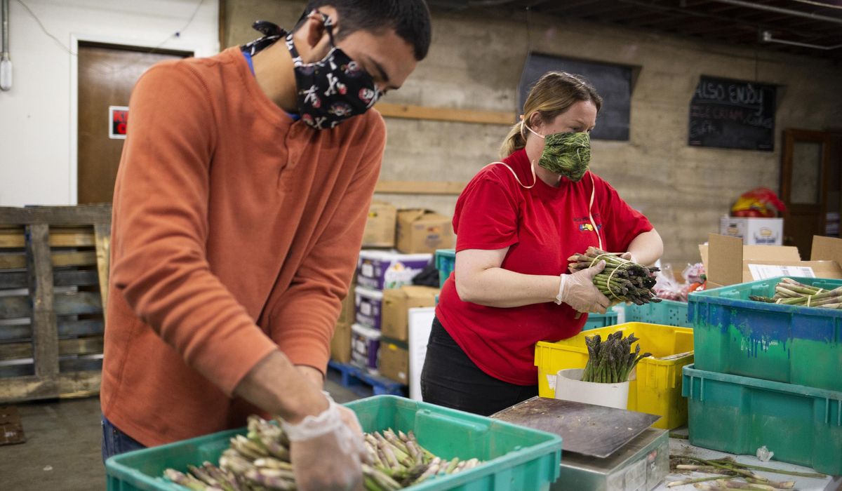 New COVID-19 farm rules, broad nursing home tests for
WA 1