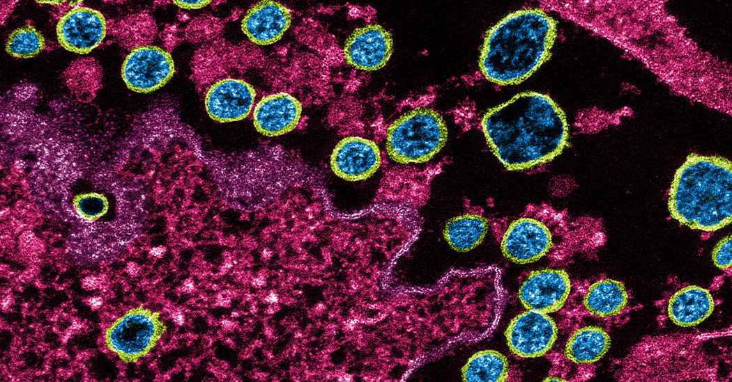 Genes May Leave Some People More Vulnerable to Severe
Covid-19 1