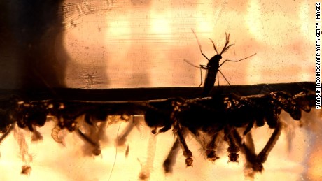 Experts fear Yemen could suffer one of the world's worst
coronavirus outbreaks 1 Experts fear Yemen could suffer one of the world's worst
coronavirus outbreaks 1