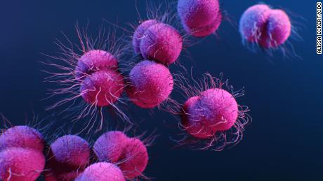 WHO clarifies comments on asymptomatic spread of
coronavirus 1