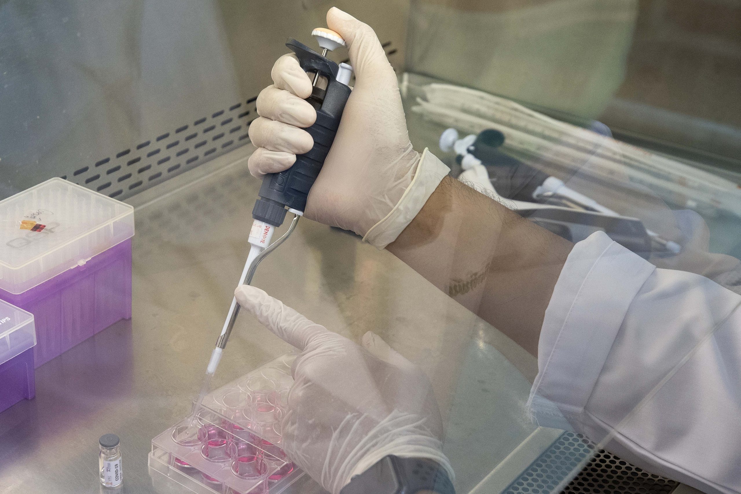 The ‘hard slog’ of waiting for a coronavirus vaccine 1