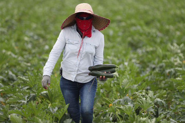 As Summer Season Heats Up, Migrant Workers Confront
Compounded Coronavirus Risks 1