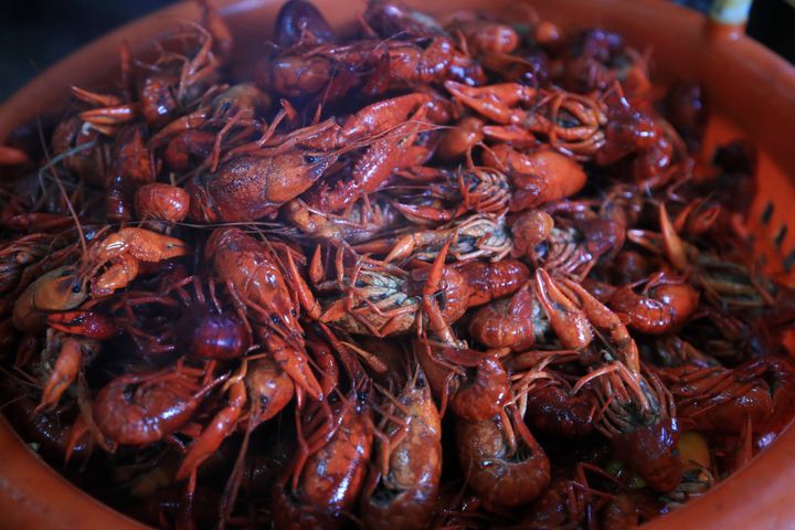 Guest Workers Describe Coronavirus Nightmare On Louisiana
Crawfish Farm 1