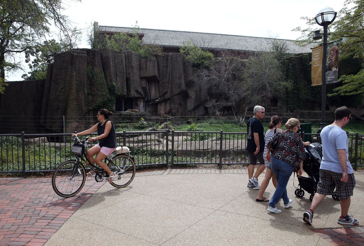 Museum layoff wave continues: Lincoln Park Zoo cuts 18
workers amid COVID-19 budget shortages 1