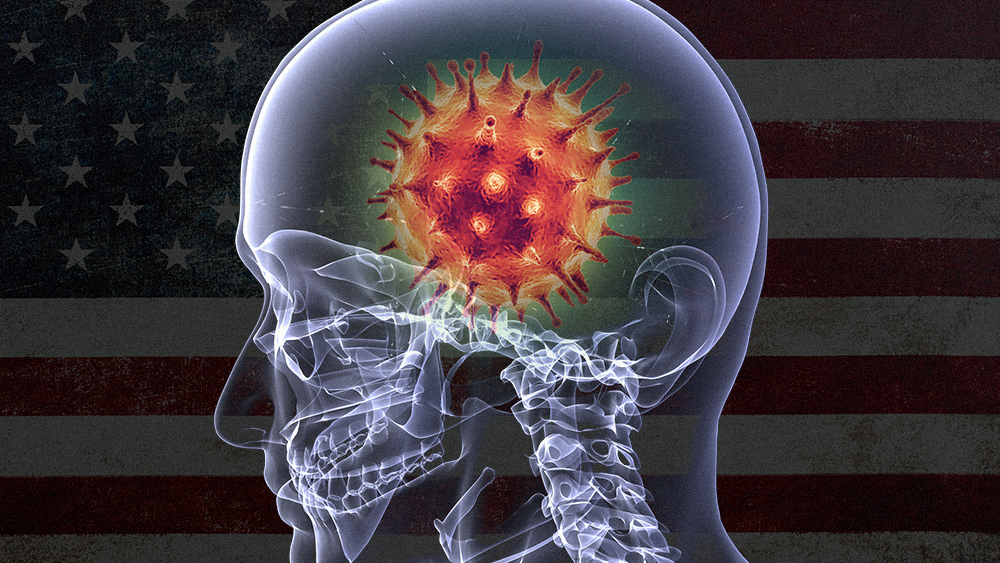 Coronavirus threatens the entire nervous system –
study 1