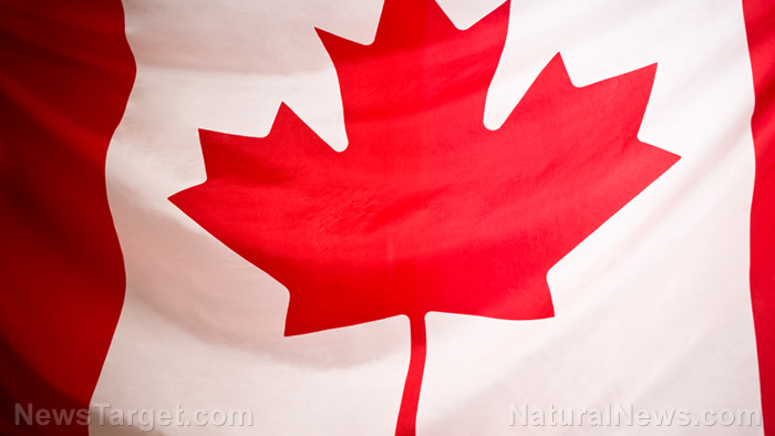 As Canada emerges from coronavirus, residents hope to curb
second wave of infections 1