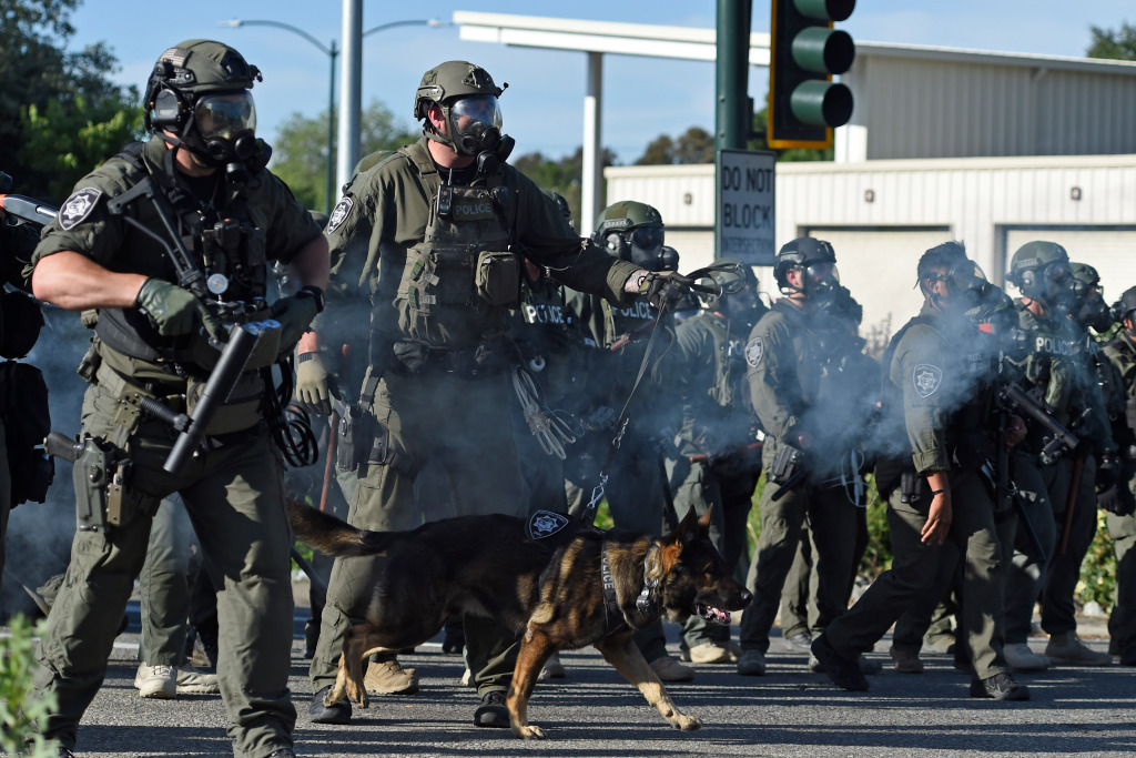 Walnut Creek protester attacked by police dog will not face
charges, DA says 1
