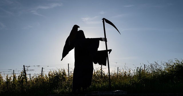 Lawyer Who Dressed as Grim Reaper to Shame Beachgoers
Spotted at Crowded Protest  1