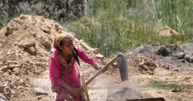 U.N. Agencies: Coronavirus Will Force Millions of Children
into Forced Labor 1