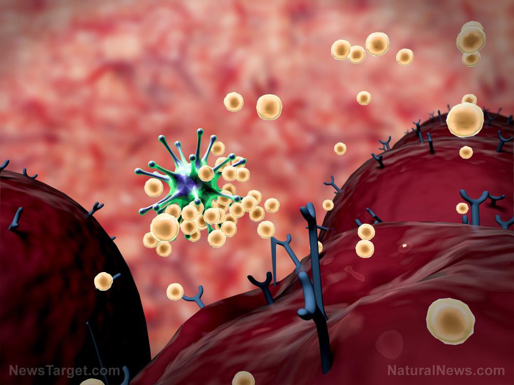 Most coronavirus patients develop "neutralizing antibodies"
after recovery, but are they enough to head off another
infection? 1