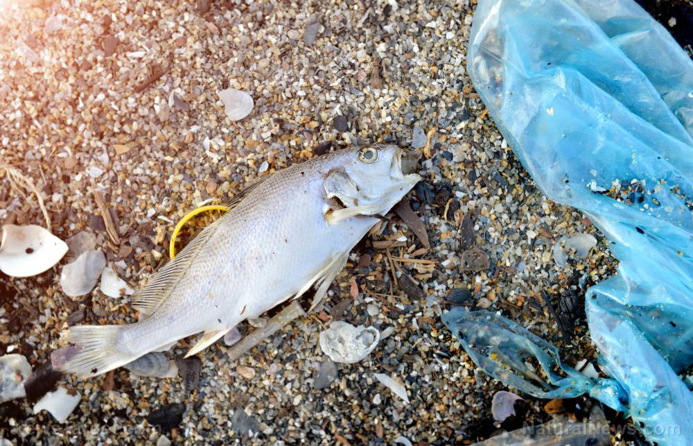 Coronavirus masks and gloves polluting oceans and
beaches 1